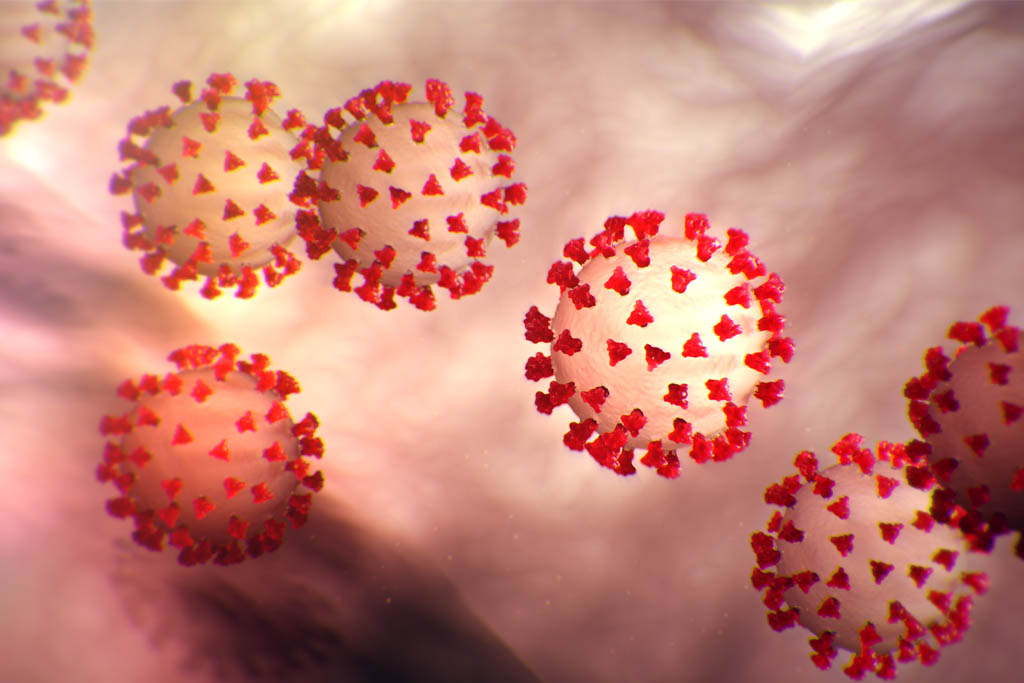 COVID-19 virus illustration